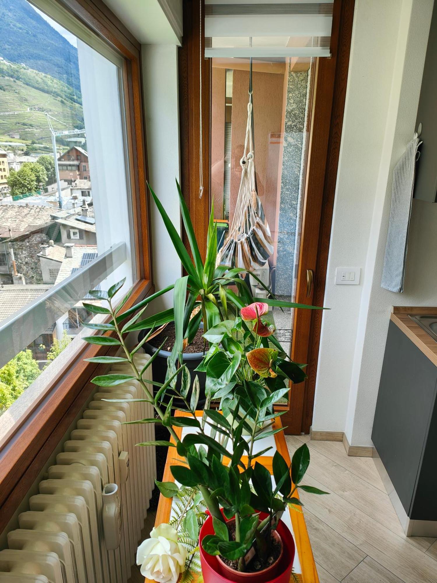 Alfiume B Apartment Tirano Exterior foto