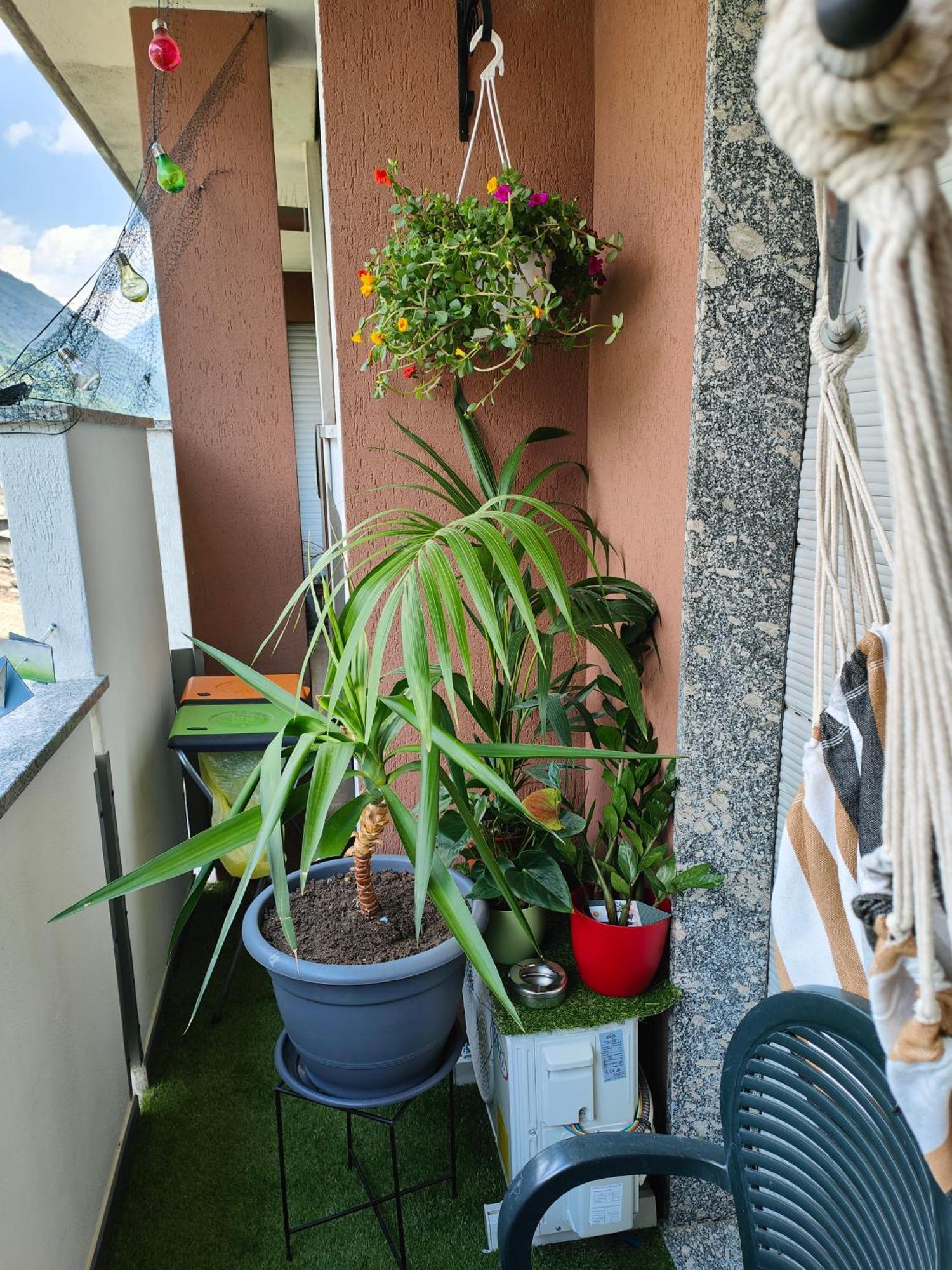 Alfiume B Apartment Tirano Exterior foto